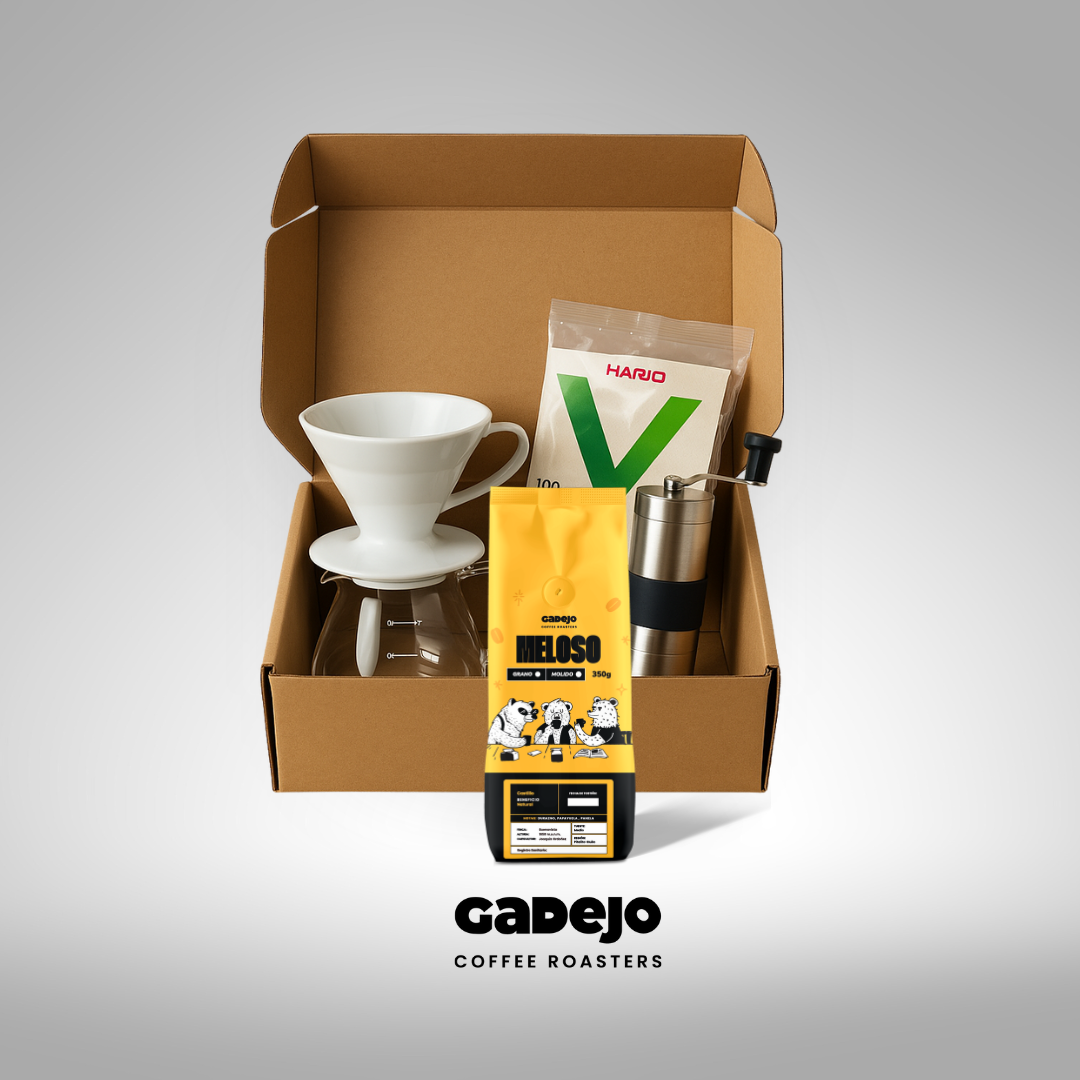 Kit V60 + Filtros Hario + Molino Manual Cerámico + Server + Bourbon Rosado Honey 350 gr | GADEJO